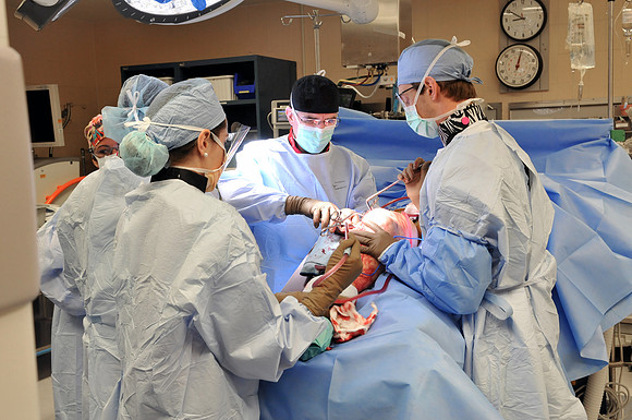 Dr. Hayda Ortho Surgery