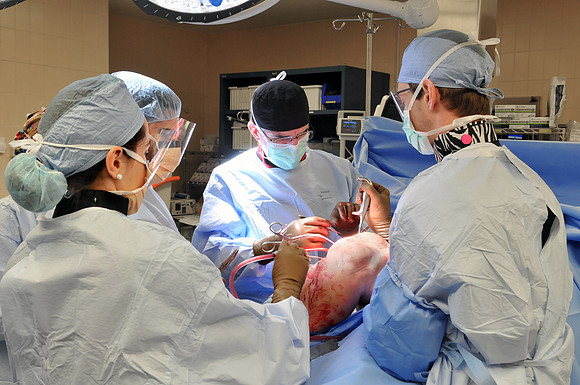 Dr. Hayda Ortho Surgery